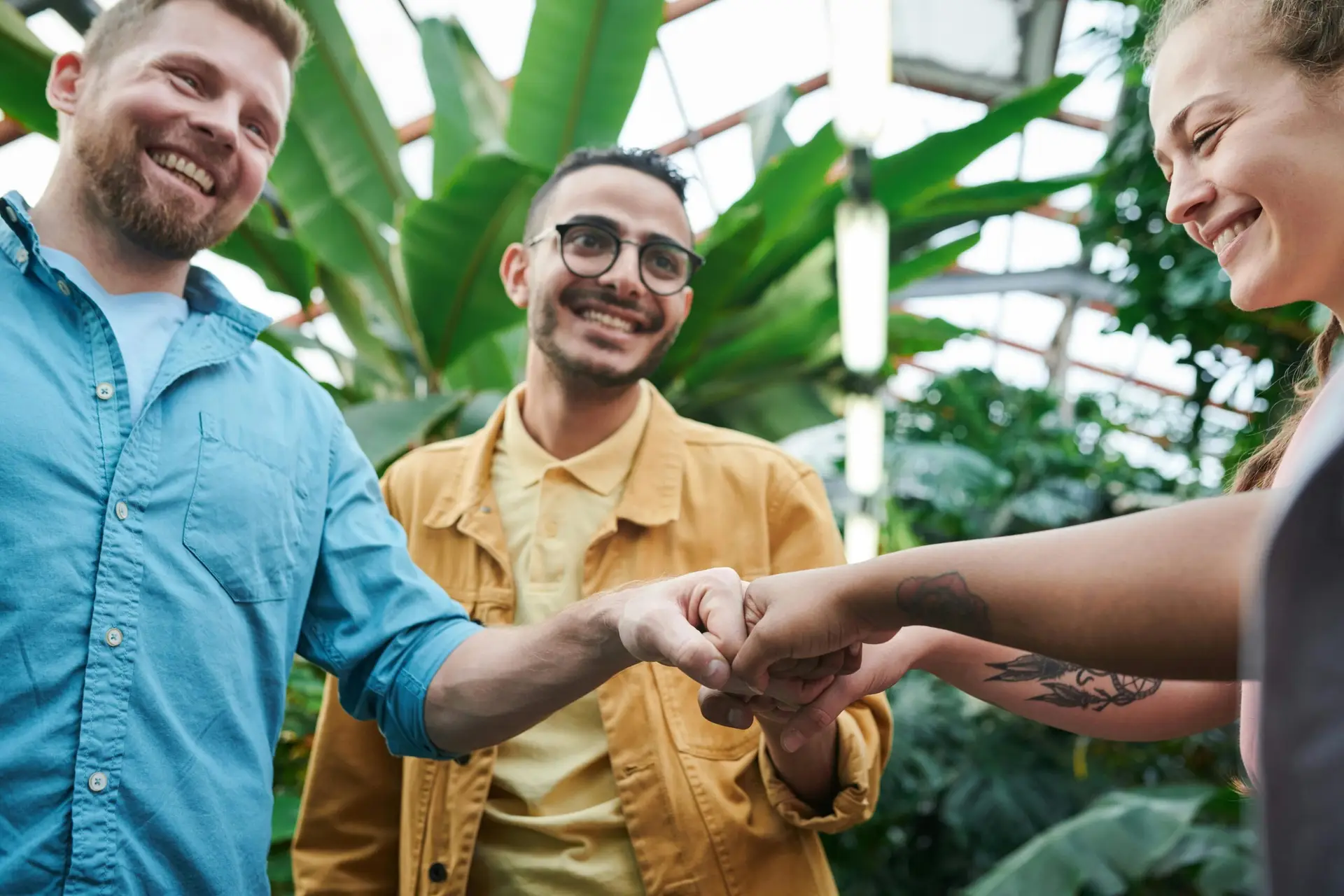 Services Three friends sharing a joyful fist bump in a lush indoor greenhouse environment.